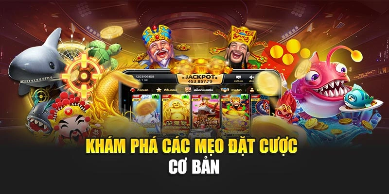 Khám phá các mẹo đặt cược cơ bản