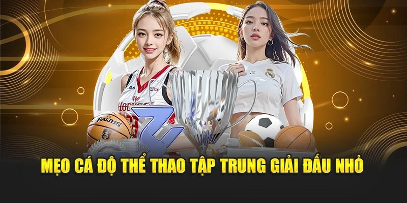 Mẹo cá độ thể thao tập trung giải đấu nhỏ